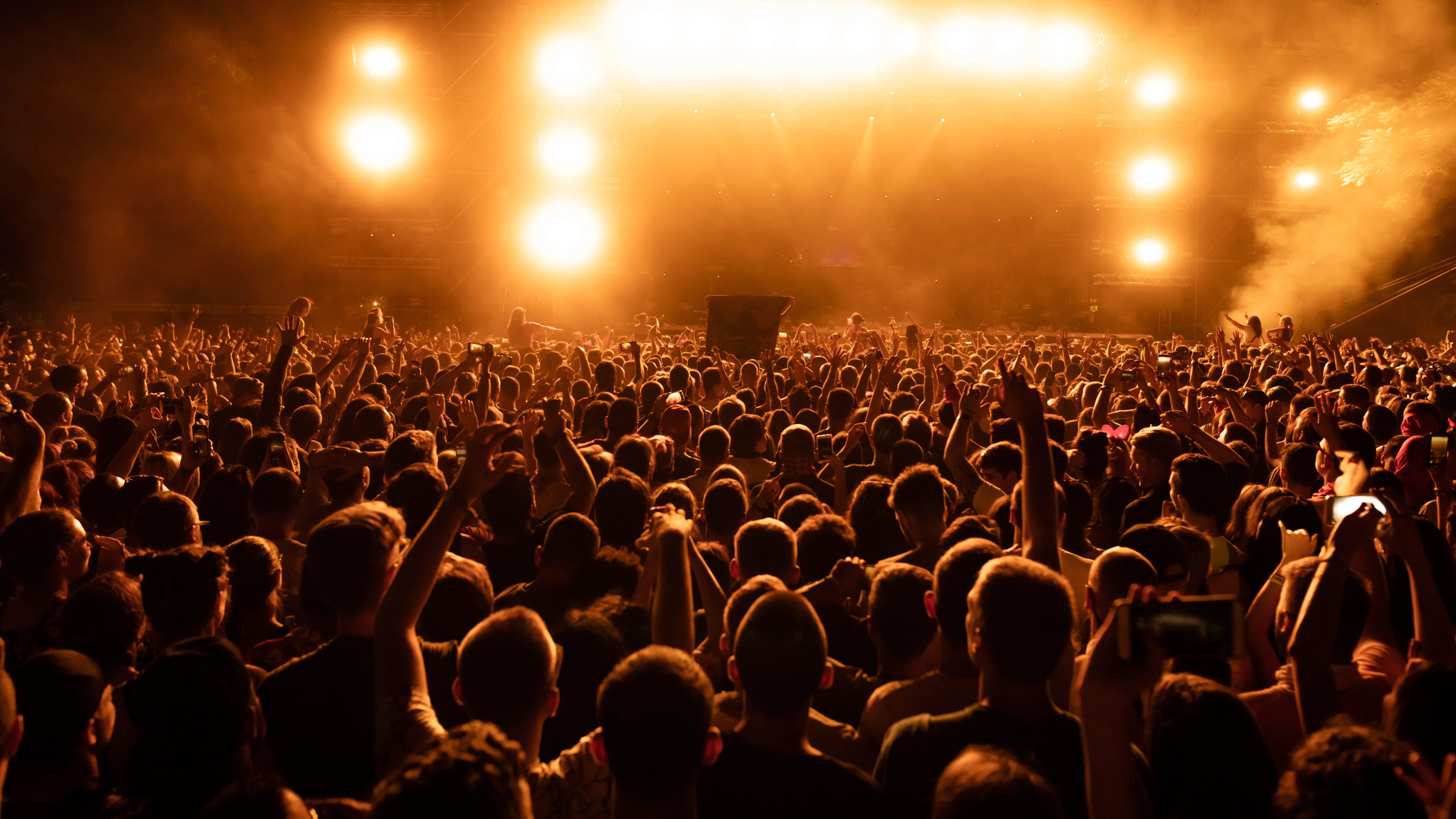 crowd fans watching live performance music concert night
